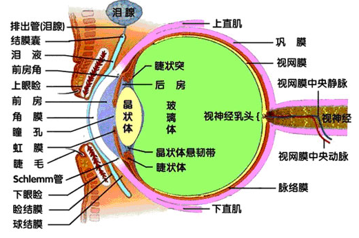 微信图片_20220520164315.png