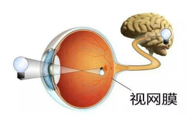 昆明哪里可以治视网膜脱落